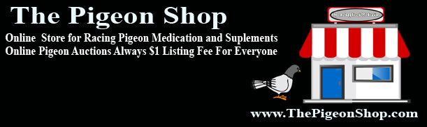 ThePigeonShop1